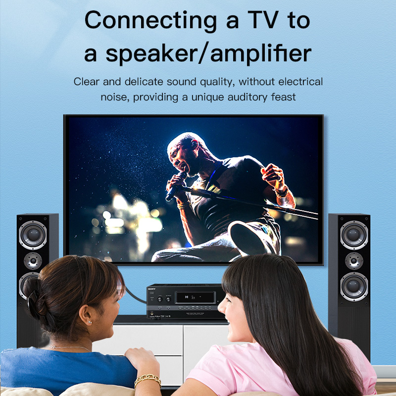 CHOSEAL RCA-Kabel Digitales Ko – Home Cinema Beamer Bewertung und Preis